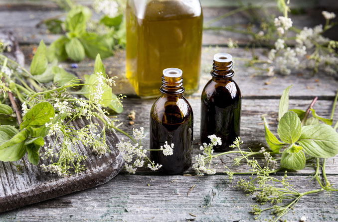 Aceite de orégano