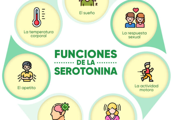 La Serotonina