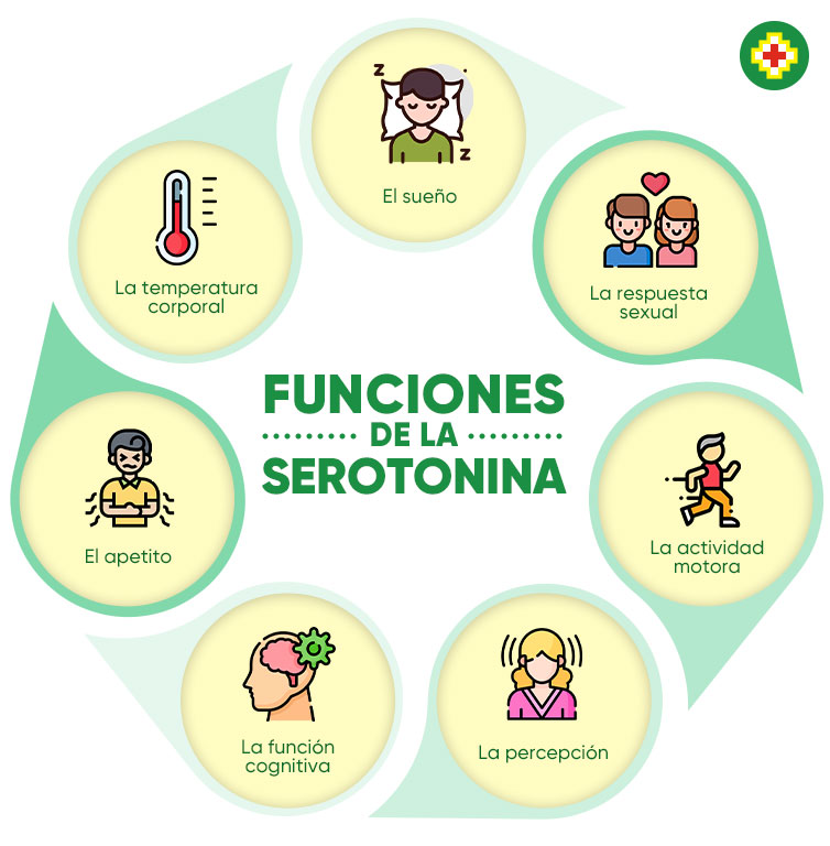 La Serotonina